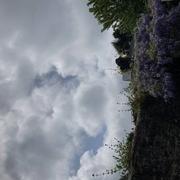 Cherbourg 07/05/2022