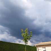 La Petite Ville 08/05/2022