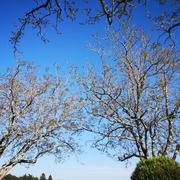 Lamagdelaine 10/05/2022