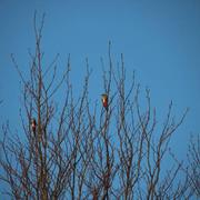 Acheville 13/05/2022