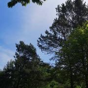 Les Planquettes 14/05/2022