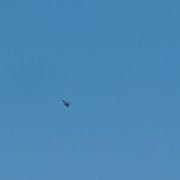 Saint-Dizier 15/05/2022