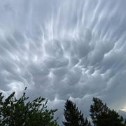 Heugueville-sur-Sienne 15/05/2022