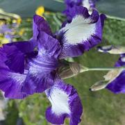 Tourcoing 15/05/2022