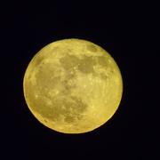 La Côte-Saint-André 16/05/2022