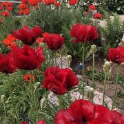 Saint-Pierre-Bois 18/05/2022