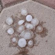 Argenton-l'Église 22/05/2022