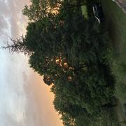 Le Maine du Buisson 26/05/2022