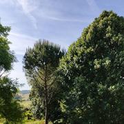 Razac-sur-l'Isle 28/05/2022