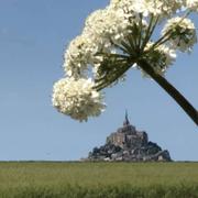 Le Mont-Saint-Michel 30/05/2022