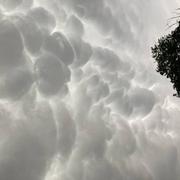 Thouars-sur-Garonne 03/06/2022