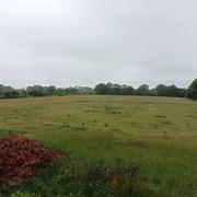 Croassant Gall 06/06/2022