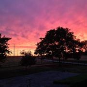 Savigny-Lévescault 06/06/2022