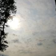 Bosguérard-de-Marcouville 07/06/2022