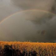 Bligny-lès-Beaune 08/06/2022