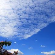 Breuilaufa 30/07/2010