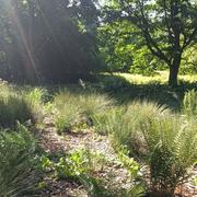 La Trouche 10/06/2022