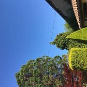 Genouilleux 11/06/2022