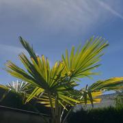 Longuenesse 12/06/2022