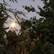 Entrelacs 15/06/2022