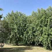 Saint-Galmier 17/06/2022