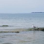 Pornichet 17/06/2022