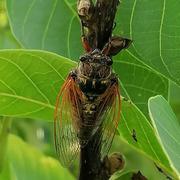 Sèvres-Anxaumont 18/06/2022