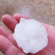 La Ferté-Saint-Cyr 19/06/2022