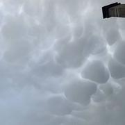 Saint-Germain-lès-Corbeil 19/06/2022