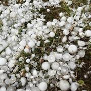 Fay-aux-Loges 19/06/2022