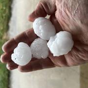 Narcastet 20/06/2022