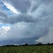 Saint-Lambert-du-Lattay 21/06/2022