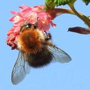 Serrouville 23/06/2022