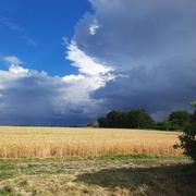 Ansauvillers 25/06/2022