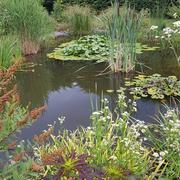 Béréziat 25/06/2022