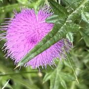 Neuville-en-Ferrain 26/06/2022