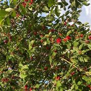 Isbergues 29/06/2022