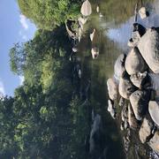 Les Clouzeaux 30/06/2022