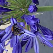 Saint-Jean-d'Arvey 30/06/2022