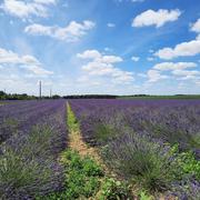 Péronville 03/07/2022