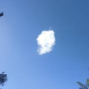 Loc-Brévalaire 03/07/2022