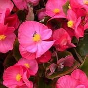 Saint-Laurent-en-Grandvaux 03/07/2022