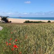 Plage de Saint Pabu 04/07/2022