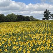 Saint-Pierre-le-Bost 07/07/2022