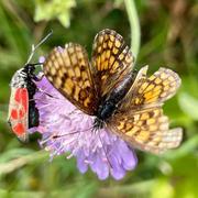 Castellane 08/07/2022