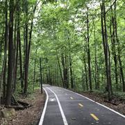 Montréal 09/07/2022