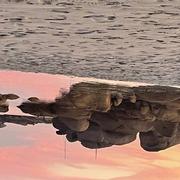 Trégastel 09/07/2022