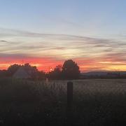 Pressagny-l'Orgueilleux 09/07/2022