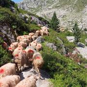 Arrens-Marsous 11/07/2022