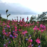 Le Mont-Cenis 12/07/2022